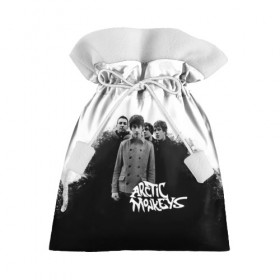 Подарочный 3D мешок с принтом Группа Arctic Monkeys в Курске, 100% полиэстер | Размер: 29*39 см | arctic monkeys обезьянка