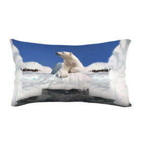 Подушка 3D антистресс с принтом Арктика в Курске, наволочка — 100% полиэстер, наполнитель — вспененный полистирол | состоит из подушки и наволочки на молнии | animals | bear | ice | nature | polar bear | power | travel | белый медведь | животные | лёд | медведь | природа | путешествия | сила | снег