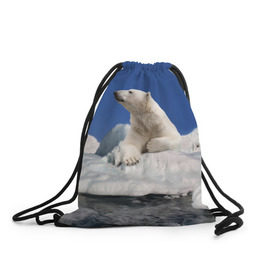 Рюкзак-мешок 3D с принтом Арктика в Курске, 100% полиэстер | плотность ткани — 200 г/м2, размер — 35 х 45 см; лямки — толстые шнурки, застежка на шнуровке, без карманов и подкладки | animals | bear | ice | nature | polar bear | power | travel | белый медведь | животные | лёд | медведь | природа | путешествия | сила | снег
