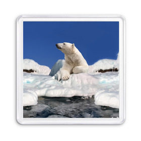Магнит 55*55 с принтом Арктика в Курске, Пластик | Размер: 65*65 мм; Размер печати: 55*55 мм | Тематика изображения на принте: animals | bear | ice | nature | polar bear | power | travel | белый медведь | животные | лёд | медведь | природа | путешествия | сила | снег