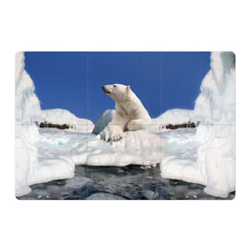 Магнитный плакат 3Х2 с принтом Арктика в Курске, Полимерный материал с магнитным слоем | 6 деталей размером 9*9 см | Тематика изображения на принте: animals | bear | ice | nature | polar bear | power | travel | белый медведь | животные | лёд | медведь | природа | путешествия | сила | снег