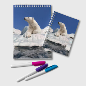 Блокнот с принтом Арктика в Курске, 100% бумага | 48 листов, плотность листов — 60 г/м2, плотность картонной обложки — 250 г/м2. Листы скреплены удобной пружинной спиралью. Цвет линий — светло-серый
 | animals | bear | ice | nature | polar bear | power | travel | белый медведь | животные | лёд | медведь | природа | путешествия | сила | снег