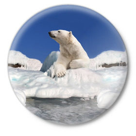 Значок с принтом Арктика в Курске,  металл | круглая форма, металлическая застежка в виде булавки | animals | bear | ice | nature | polar bear | power | travel | белый медведь | животные | лёд | медведь | природа | путешествия | сила | снег