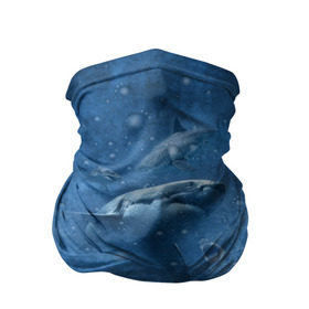 Бандана-труба 3D с принтом Shark в Курске, 100% полиэстер, ткань с особыми свойствами — Activecool | плотность 150‒180 г/м2; хорошо тянется, но сохраняет форму | fish | ocean | акула | вода | животные | море | океан | рыба | челюсти