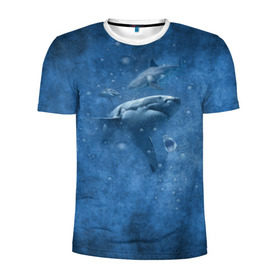 Мужская футболка 3D спортивная с принтом Shark в Курске, 100% полиэстер с улучшенными характеристиками | приталенный силуэт, круглая горловина, широкие плечи, сужается к линии бедра | fish | ocean | акула | вода | животные | море | океан | рыба | челюсти