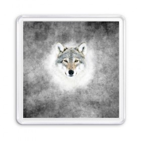 Магнит 55*55 с принтом Wolf в Курске, Пластик | Размер: 65*65 мм; Размер печати: 55*55 мм | animal | snow | волк | животные | снег | хищник