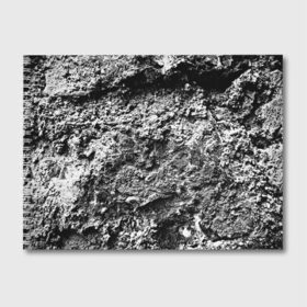 Альбом для рисования с принтом Серая текстура в Курске, 100% бумага
 | матовая бумага, плотность 200 мг. | Тематика изображения на принте: watercolor | абстракция красок | акварель | брызги красок | живопись | краска | потертость красок | текстуры | черно белый