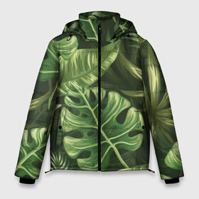 Мужская зимняя куртка 3D с принтом Доисторический лес в Курске, верх — 100% полиэстер; подкладка — 100% полиэстер; утеплитель — 100% полиэстер | длина ниже бедра, свободный силуэт Оверсайз. Есть воротник-стойка, отстегивающийся капюшон и ветрозащитная планка. 

Боковые карманы с листочкой на кнопках и внутренний карман на молнии. | Тематика изображения на принте: vppdgryphon | арт | краска | лес | папоротник | прикольные | тропики | цветные | цветок | цветы