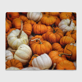 Плед 3D с принтом тыквы в Курске, 100% полиэстер | закругленные углы, все края обработаны. Ткань не мнется и не растягивается | Тематика изображения на принте: halloween | дача | овощи | октябрь | оранжевый | осень | сентябрь | тыква | хеллуин