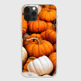 Чехол для iPhone 12 Pro Max с принтом тыквы в Курске, Силикон |  | halloween | дача | овощи | октябрь | оранжевый | осень | сентябрь | тыква | хеллуин