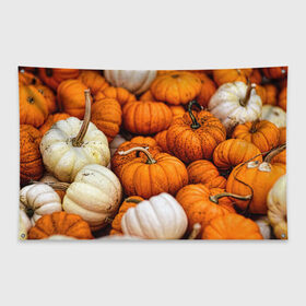 Флаг-баннер с принтом тыквы в Курске, 100% полиэстер | размер 67 х 109 см, плотность ткани — 95 г/м2; по краям флага есть четыре люверса для крепления | halloween | дача | овощи | октябрь | оранжевый | осень | сентябрь | тыква | хеллуин