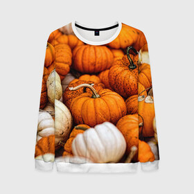 Мужской свитшот 3D с принтом тыквы в Курске, 100% полиэстер с мягким внутренним слоем | круглый вырез горловины, мягкая резинка на манжетах и поясе, свободная посадка по фигуре | halloween | дача | овощи | октябрь | оранжевый | осень | сентябрь | тыква | хеллуин
