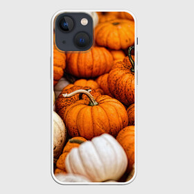 Чехол для iPhone 13 mini с принтом тыквы в Курске,  |  | halloween | дача | овощи | октябрь | оранжевый | осень | сентябрь | тыква | хеллуин