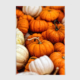Постер с принтом тыквы в Курске, 100% бумага
 | бумага, плотность 150 мг. Матовая, но за счет высокого коэффициента гладкости имеет небольшой блеск и дает на свету блики, но в отличии от глянцевой бумаги не покрыта лаком | halloween | дача | овощи | октябрь | оранжевый | осень | сентябрь | тыква | хеллуин