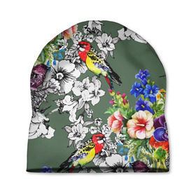 Шапка 3D с принтом Райский остров в Курске, 100% полиэстер | универсальный размер, печать по всей поверхности изделия | арт | краска | попугаи | попугай | прикольные | рай | тропики | цветные | цветок | цветы