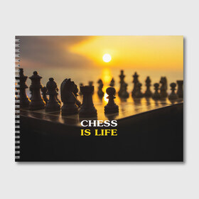 Альбом для рисования с принтом Шахматы - это жизнь в Курске, 100% бумага
 | матовая бумага, плотность 200 мг. | chess | game | sport | гроссмейстер | закат | игра | интеллект | солнце | спорт | фигура | шахматист | шахматы