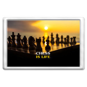 Магнит 45*70 с принтом Шахматы - это жизнь в Курске, Пластик | Размер: 78*52 мм; Размер печати: 70*45 | chess | game | sport | гроссмейстер | закат | игра | интеллект | солнце | спорт | фигура | шахматист | шахматы