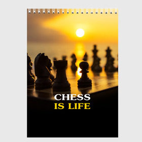 Скетчбук с принтом Шахматы - это жизнь в Курске, 100% бумага
 | 48 листов, плотность листов — 100 г/м2, плотность картонной обложки — 250 г/м2. Листы скреплены сверху удобной пружинной спиралью | Тематика изображения на принте: chess | game | sport | гроссмейстер | закат | игра | интеллект | солнце | спорт | фигура | шахматист | шахматы