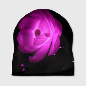 Шапка 3D с принтом Цветок в Курске, 100% полиэстер | универсальный размер, печать по всей поверхности изделия | лепестки | модные | природа | растения | розовый | тренды | фон | цвет | цветок | цветы | черный