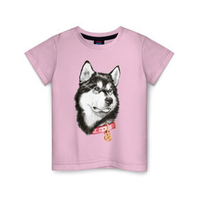 Детская футболка хлопок с принтом Маламут в Курске, 100% хлопок | круглый вырез горловины, полуприлегающий силуэт, длина до линии бедер | Тематика изображения на принте: аляска | карандаш | маламут | рисунок | собака | хаски