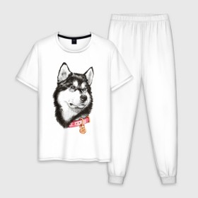 Мужская пижама хлопок с принтом Маламут в Курске, 100% хлопок | брюки и футболка прямого кроя, без карманов, на брюках мягкая резинка на поясе и по низу штанин
 | Тематика изображения на принте: аляска | карандаш | маламут | рисунок | собака | хаски