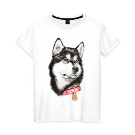 Женская футболка хлопок с принтом Маламут в Курске, 100% хлопок | прямой крой, круглый вырез горловины, длина до линии бедер, слегка спущенное плечо | аляска | карандаш | маламут | рисунок | собака | хаски