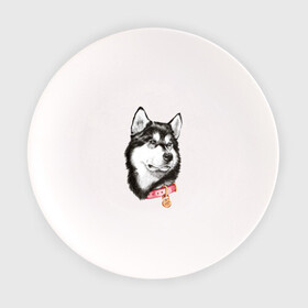 Тарелка с принтом Маламут в Курске, фарфор | диаметр - 210 мм
диаметр для нанесения принта - 120 мм | Тематика изображения на принте: аляска | карандаш | маламут | рисунок | собака | хаски
