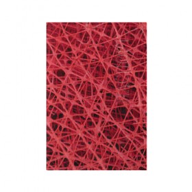 Обложка для паспорта матовая кожа с принтом Сетка в Курске, натуральная матовая кожа | размер 19,3 х 13,7 см; прозрачные пластиковые крепления | красный | модные | пластик | сети | сетка | текстура | цвет