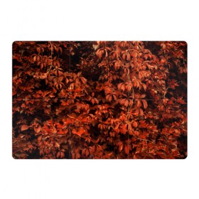 Магнитный плакат 3Х2 с принтом осенние листья в Курске, Полимерный материал с магнитным слоем | 6 деталей размером 9*9 см | 