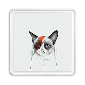 Магнит 55*55 с принтом Grumpy cat (David Bowie) в Курске, Пластик | Размер: 65*65 мм; Размер печати: 55*55 мм | бодиарт | грумпи | дэвид боуи | злой кот | интернет | котей | котик | кошка | мем | мемас | мемчик. | молния на лице | рисунок на лице | сердитый