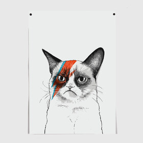 Постер с принтом Grumpy cat (David Bowie) в Курске, 100% бумага
 | бумага, плотность 150 мг. Матовая, но за счет высокого коэффициента гладкости имеет небольшой блеск и дает на свету блики, но в отличии от глянцевой бумаги не покрыта лаком | бодиарт | грумпи | дэвид боуи | злой кот | интернет | котей | котик | кошка | мем | мемас | мемчик. | молния на лице | рисунок на лице | сердитый