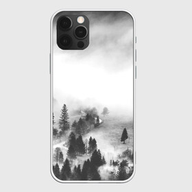 Чехол для iPhone 12 Pro с принтом Лес и туман в Курске, силикон | область печати: задняя сторона чехла, без боковых панелей | Тематика изображения на принте: black and white | лес | лес и туман | туман | чернобелый  фон | чернобелый лес