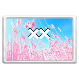 Магнит 45*70 с принтом The XX Pink в Курске, Пластик | Размер: 78*52 мм; Размер печати: 70*45 | 