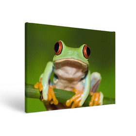 Холст прямоугольный с принтом Лягушка в Курске, 100% ПВХ |  | Тематика изображения на принте: frog | жаба | животные | зеленый | ква | лягуха | лягушка | лягушонок