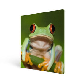 Холст квадратный с принтом Лягушка в Курске, 100% ПВХ |  | Тематика изображения на принте: frog | жаба | животные | зеленый | ква | лягуха | лягушка | лягушонок
