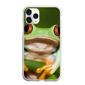Чехол для iPhone 11 Pro матовый с принтом Лягушка в Курске, Силикон |  | frog | жаба | животные | зеленый | ква | лягуха | лягушка | лягушонок