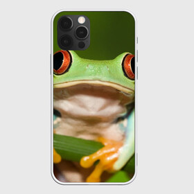 Чехол для iPhone 12 Pro Max с принтом Лягушка в Курске, Силикон |  | frog | жаба | животные | зеленый | ква | лягуха | лягушка | лягушонок