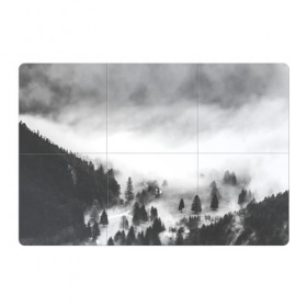 Магнитный плакат 3Х2 с принтом Туманный лес в Курске, Полимерный материал с магнитным слоем | 6 деталей размером 9*9 см | бор | деревья | дым | елки | лес | природа | туман | чб | черно белое