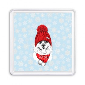 Магнит 55*55 с принтом Собачка в шапочке в Курске, Пластик | Размер: 65*65 мм; Размер печати: 55*55 мм | зима | новый год | подарок | рождество | собака