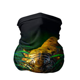 Бандана-труба 3D с принтом Тигр в джунглях в Курске, 100% полиэстер, ткань с особыми свойствами — Activecool | плотность 150‒180 г/м2; хорошо тянется, но сохраняет форму | 