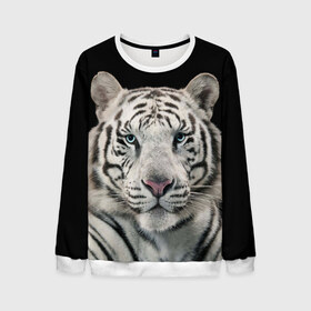 Мужской свитшот 3D с принтом White tiger в Курске, 100% полиэстер с мягким внутренним слоем | круглый вырез горловины, мягкая резинка на манжетах и поясе, свободная посадка по фигуре | tiger white | белый тигр | дикая кошка | тигр