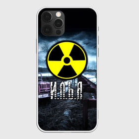 Чехол для iPhone 12 Pro с принтом S.T.A.L.K.E.R. - И.Л.Ь.Я в Курске, силикон | область печати: задняя сторона чехла, без боковых панелей | Тематика изображения на принте: stalker | ильюха | ильюша | илья | имена | припять | радиация | сталкер | чернобыль