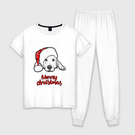 Женская пижама хлопок с принтом Собака Санта в Курске, 100% хлопок | брюки и футболка прямого кроя, без карманов, на брюках мягкая резинка на поясе и по низу штанин | christmas | dog | holiday | new year | santa claus | santa hat | snow | snowflakes | winter | дед мороз | зима | новый год | праздник | рождество | санта клаус | снег | снежинки | собака | шапка