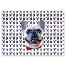 Поздравительная открытка с принтом Французский бульдог в Курске, 100% бумага | плотность бумаги 280 г/м2, матовая, на обратной стороне линовка и место для марки
 | бульдог | бульдожка | пес | песик | собака | французский бульдог