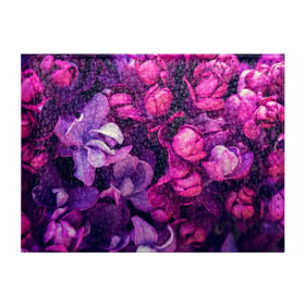 Обложка для студенческого билета с принтом цветы в Курске, натуральная кожа | Размер: 11*8 см; Печать на всей внешней стороне | botany | bouquet | flowers | fuchsia | leaves | magnolia | peony | pink | vintage | ботаника | букет | винтаж | листья | магнолия | пион | розовый | фуксия | цветы