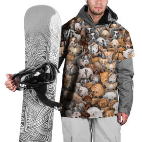 Накидка на куртку 3D с принтом Щенки в Курске, 100% полиэстер |  | Тематика изображения на принте: бультерьер | корги | мопс | паттерн | пес | питбуль | породы | собака | собачка | хаски | щенок