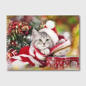 Альбом для рисования с принтом Новогодний котик в Курске, 100% бумага
 | матовая бумага, плотность 200 мг. | елка | зима | кот | котейка | кошка | мороз | новый год | снег
