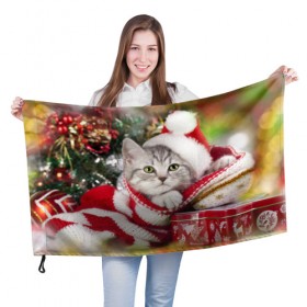 Флаг 3D с принтом Новогодний котик в Курске, 100% полиэстер | плотность ткани — 95 г/м2, размер — 67 х 109 см. Принт наносится с одной стороны | елка | зима | кот | котейка | кошка | мороз | новый год | снег