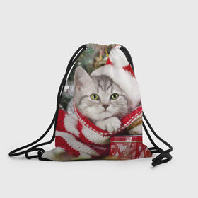 Рюкзак-мешок 3D с принтом Новогодний котик в Курске, 100% полиэстер | плотность ткани — 200 г/м2, размер — 35 х 45 см; лямки — толстые шнурки, застежка на шнуровке, без карманов и подкладки | елка | зима | кот | котейка | кошка | мороз | новый год | снег