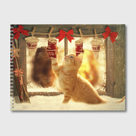 Альбом для рисования с принтом Сюрпризы от Деда Мороза в Курске, 100% бумага
 | матовая бумага, плотность 200 мг. | елка | зима | кот | котейка | кошка | мороз | новый год | снег | снежинки